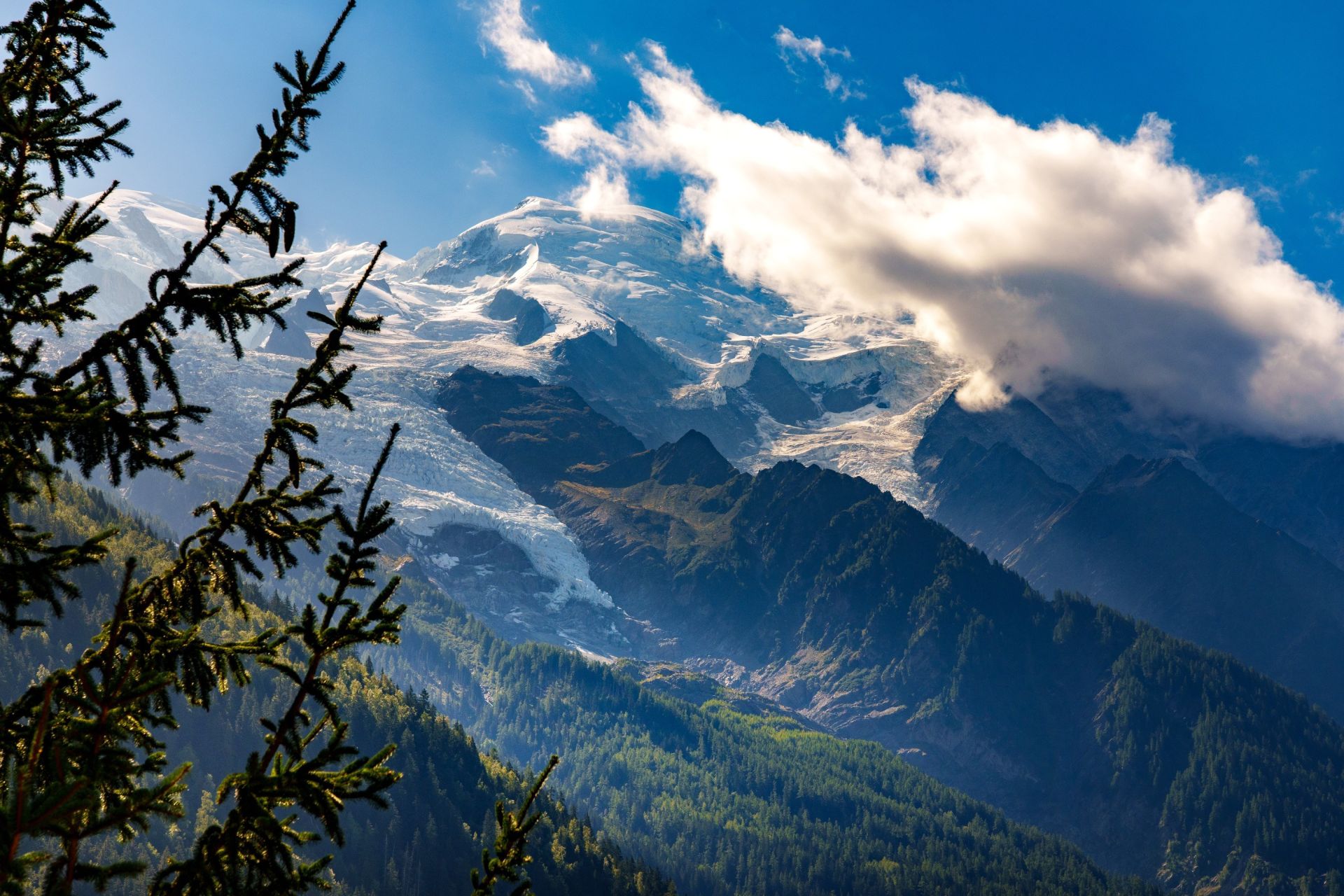 chalet 8 Pièces en vente sur CHAMONIX MONT BLANC (74400)